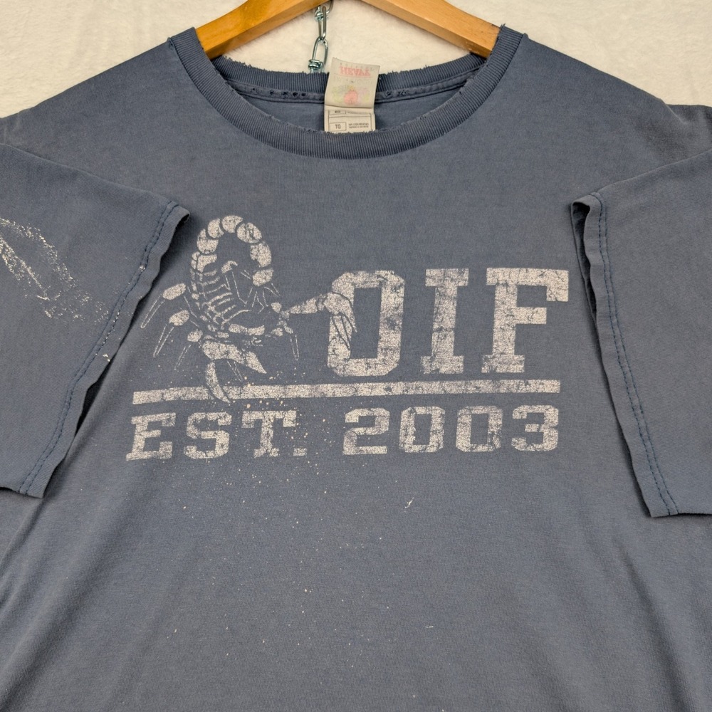 VTG Fruit of the Loom T-Shirt Men's L Blue Faded‎ OIF Scorpion Distressed Y2K